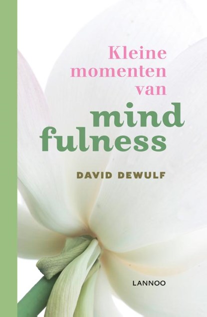 Kleine momenten van mindfulness, David Dewulf - Gebonden - 9789020942101