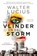 De vlinder en de storm, Walter Lucius - Paperback - 9789021024240