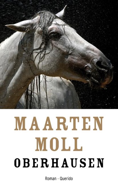 Oberhausen, Maarten Moll - Paperback - 9789021400303