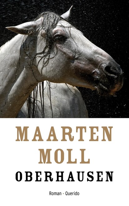 Oberhausen, Maarten Moll - Ebook - 9789021400310