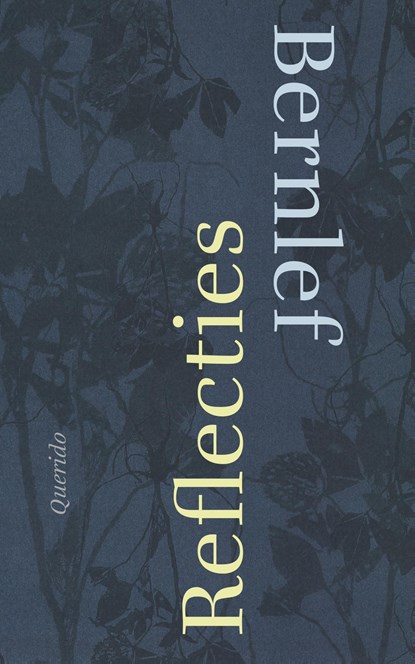 Reflecties, Bernlef - Ebook - 9789021400761