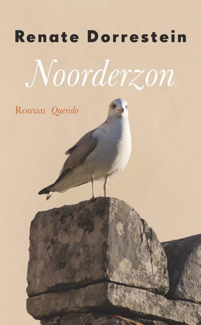 Noorderzon, Renate Dorrestein - Paperback - 9789021406725