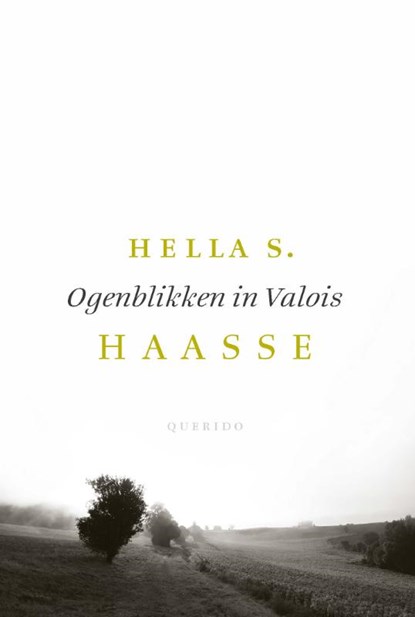 Ogenblikken in Valois, Hella S. Haasse - Gebonden - 9789021408255