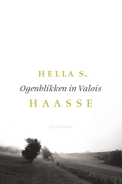 Ogenblikken in Valois, Hella S. Haasse - Ebook - 9789021408460