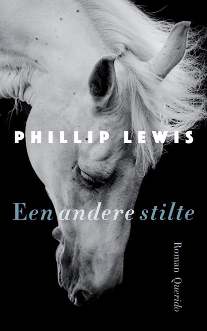 Een andere stilte, Phillip Lewis - Paperback - 9789021409894