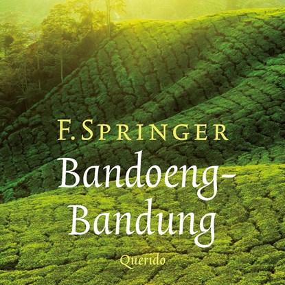 Bandoeng-Bandung, F. Springer - Luisterboek MP3 - 9789021414263