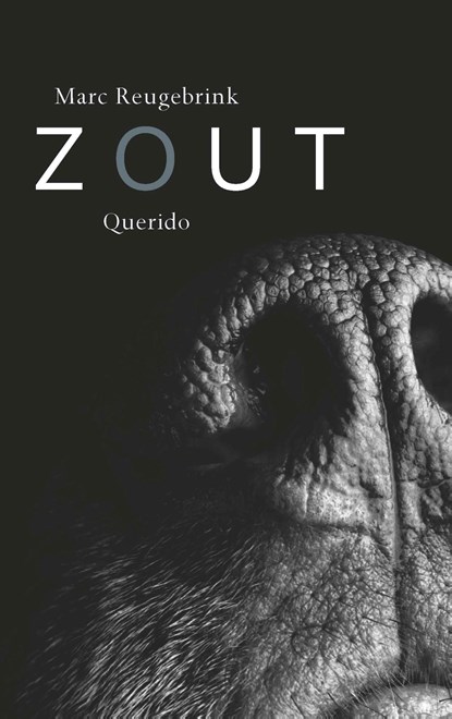 Zout, Marc Reugebrink - Ebook - 9789021415352