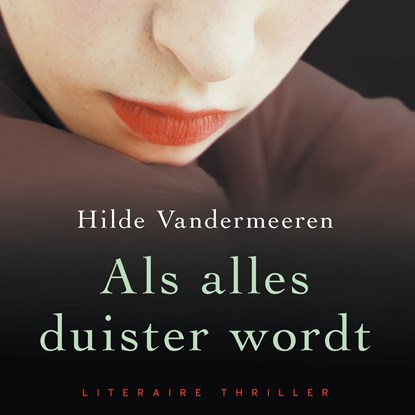 Als alles duister wordt, Hilde Vandermeeren - Luisterboek MP3 - 9789021416281