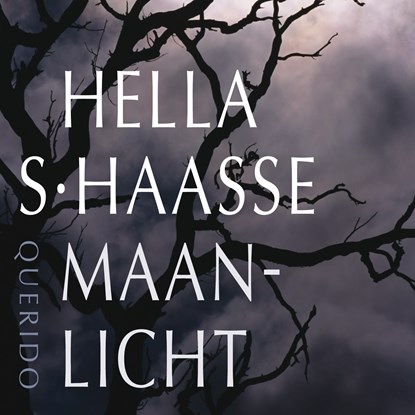 Maanlicht, Hella S. Haasse - Luisterboek MP3 - 9789021416618