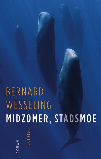 Midzomer, stadsmoe, Bernard Wesseling - Paperback - 9789021421377