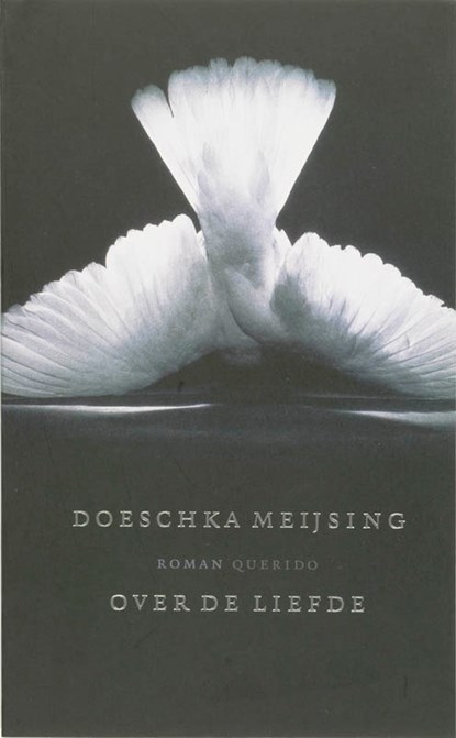Over de liefde, Doeschka Meijsing - Paperback - 9789021433516