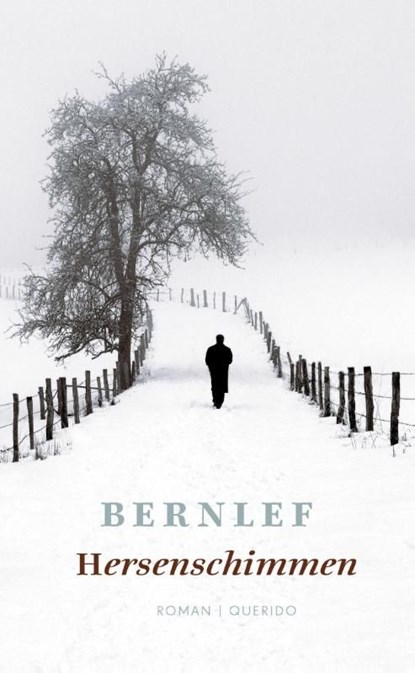 Hersenschimmen, Bernlef - Ebook - 9789021435664