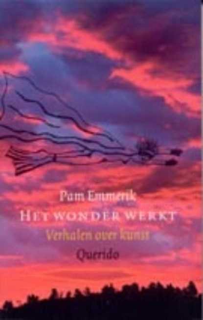 Het wonder werkt, Pam Emmerik - Ebook - 9789021435756