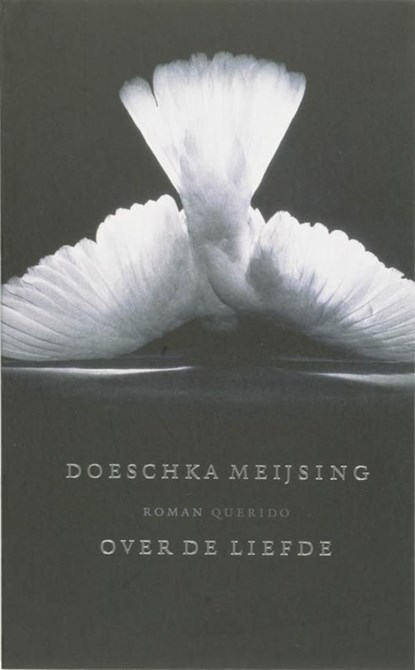 Over de liefde, Doeschka Meijsing - Ebook - 9789021436043
