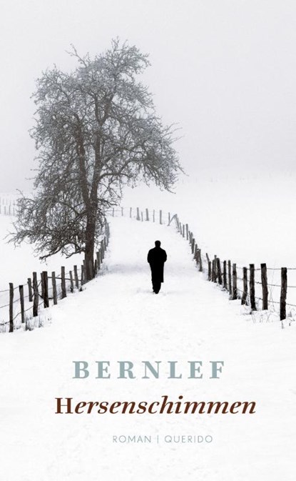 Hersenschimmen, Bernlef - Paperback - 9789021440132