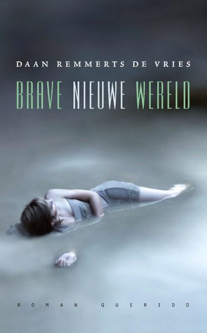 Brave nieuwe wereld, Daan Remmerts de Vries - Paperback - 9789021440217
