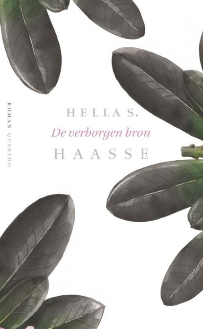 De verborgen bron, Hella S. Haasse - Ebook - 9789021441511