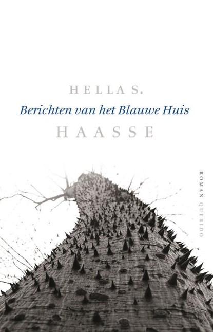 Berichten van het Blauwe Huis, Hella S. Haasse - Ebook - 9789021441924