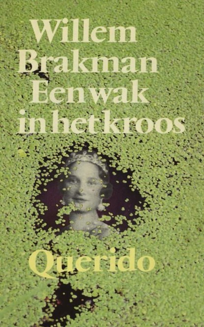 Een wak in het kroos, Willem Brakman - Ebook - 9789021444123