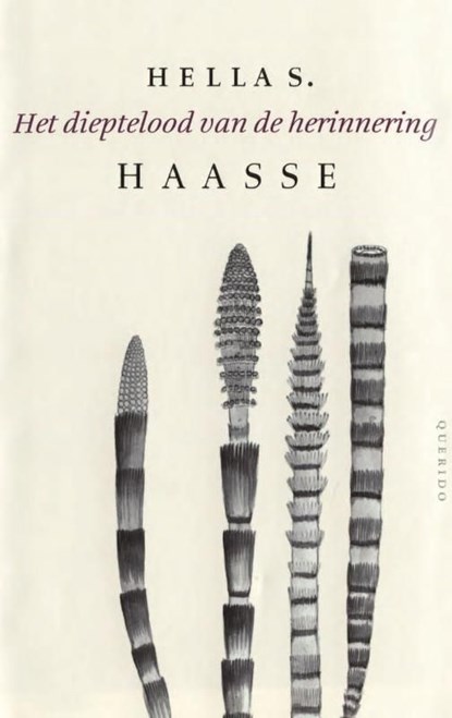 Het dieptelood van de herinnering, Hella S. Haasse - Ebook - 9789021444390