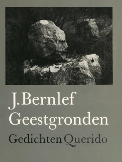 Geestgronden, J. Bernlef - Ebook - 9789021448305