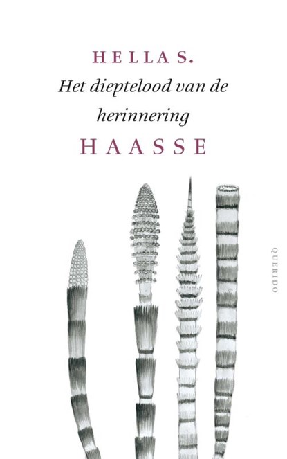 Het dieptelood van de herinnering, Hella S. Haasse - Paperback - 9789021455617