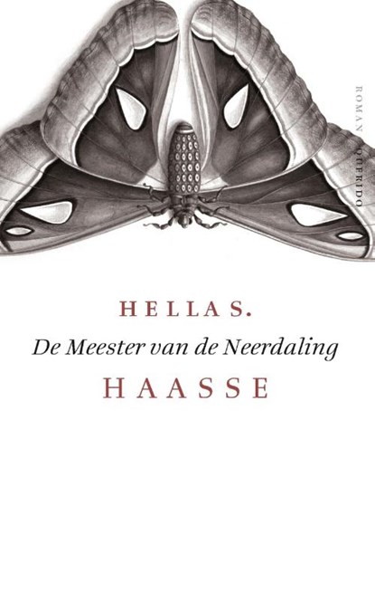 De meester van de neerdaling, Hella S. Haasse - Paperback - 9789021455679