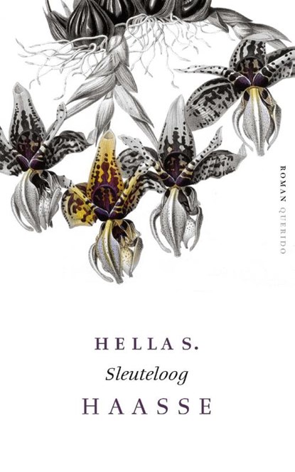 Sleuteloog, Hella S. Haasse - Paperback - 9789021455693