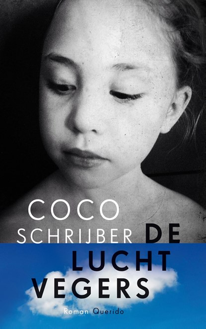 De luchtvegers, Coco Schrijber - Ebook - 9789021458861