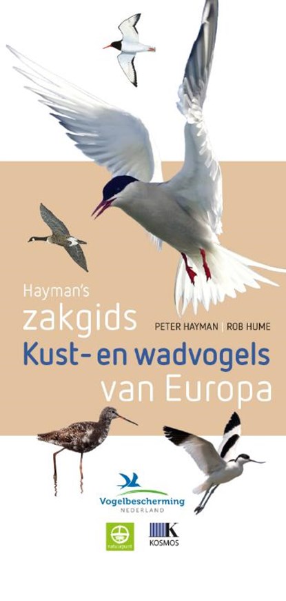 Hayman's zakgids kust- en wadvogels, Peter Hayman ; Rob Hume - Paperback - 9789021565002