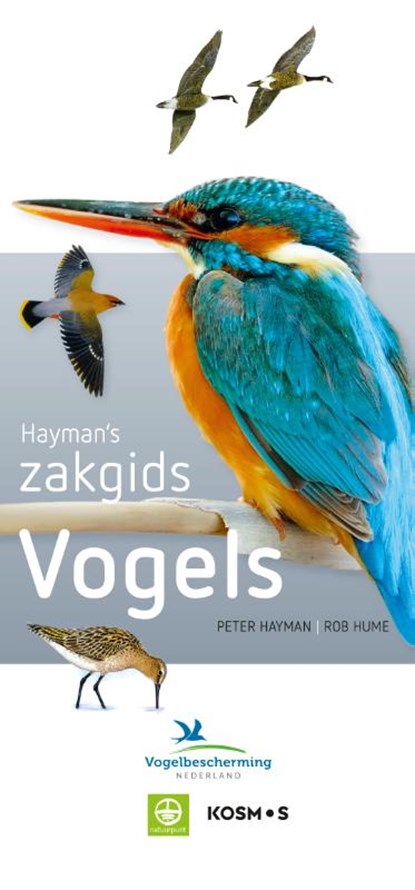 Hayman's Zakgids Vogels, Peter Hayman ; Rob Hume - Paperback - 9789021575353