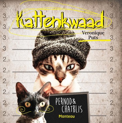 Kattenkwaad, Veronique Puts - Paperback - 9789022330883