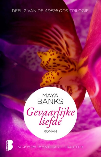 Gevaarlijke liefde, Maya Banks - Paperback - 9789022565766