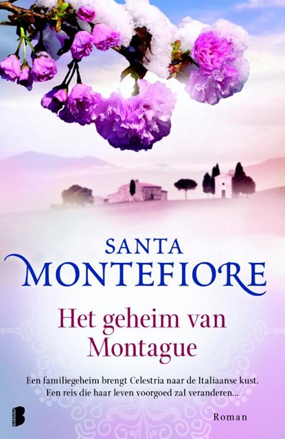 Het geheim van Montague, Santa Montefiore - Paperback - 9789022568804