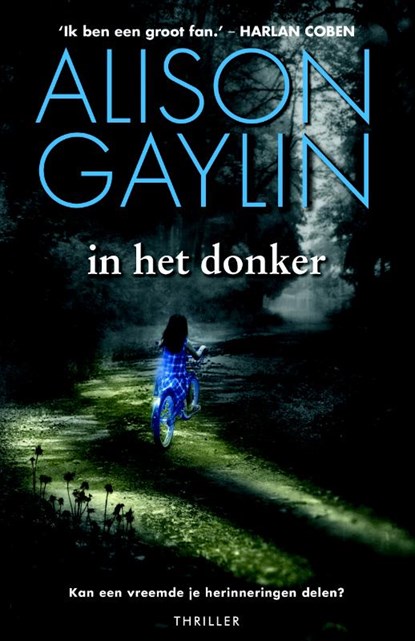 In het donker, Alison Gaylin - Paperback - 9789022569023