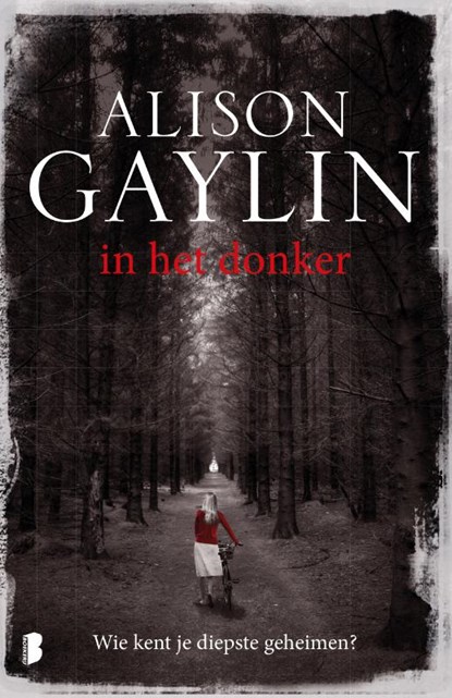 In het donker, Alison Gaylin - Paperback - 9789022575208