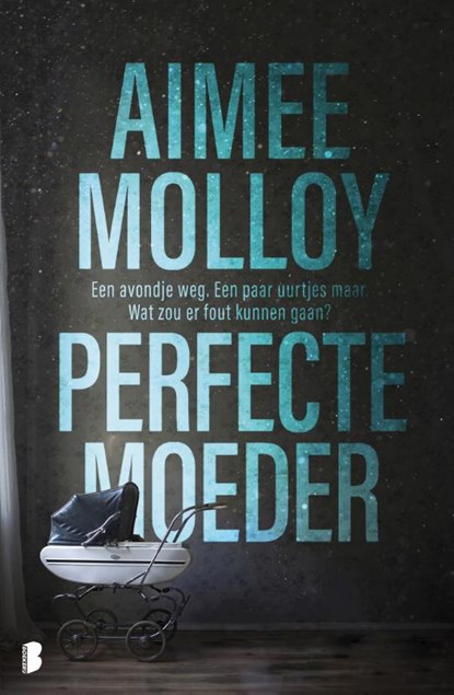 Perfecte moeder, Aimee Molloy - Paperback - 9789022582404