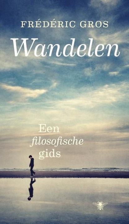 Wandelen, Frederic Gros - Ebook - 9789023478041
