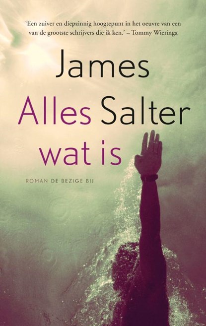 Alles wat is, James Salter - Paperback - 9789023478300