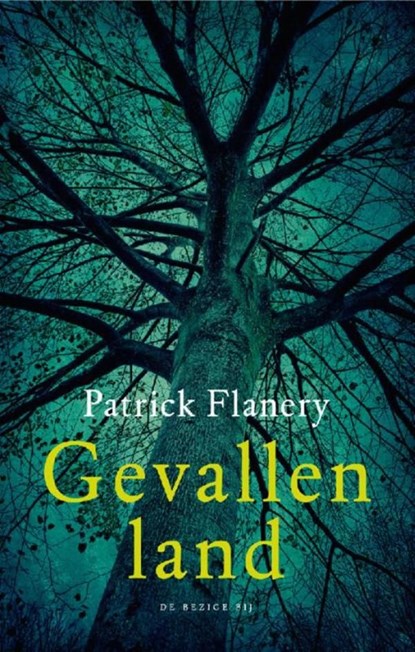 Gevallen land, Patrick Flanery - Ebook - 9789023484813