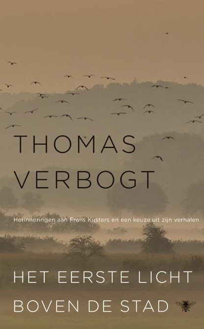 Het eerste licht boven de stad, Thomas Verbogt - Ebook - 9789023485339