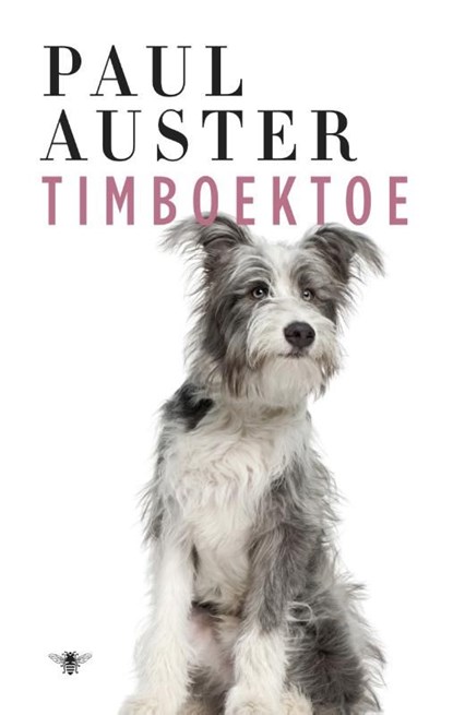 Timboektoe, Paul Auster - Ebook - 9789023486275
