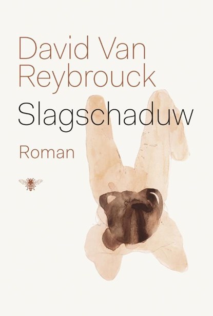 Slagschaduw, David Van Reybrouck - Paperback - 9789023491873