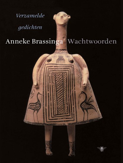 Wachtwoorden, Anneke Brassinga - Ebook - 9789023493808