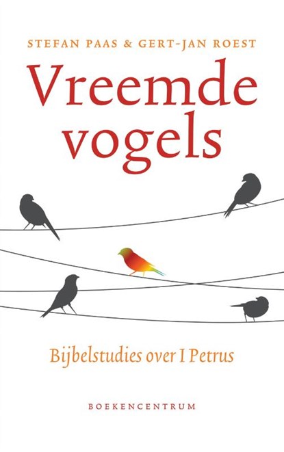 Vreemde vogels, Stefan Paas ; Gert-Jan Roest - Paperback - 9789023950462
