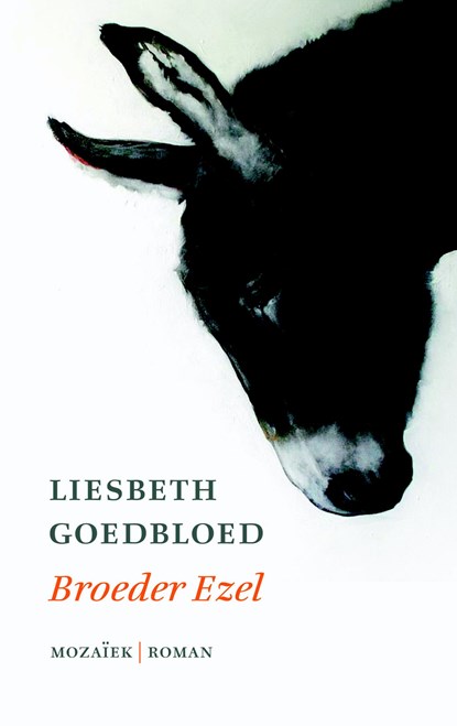 Broeder ezel, Liesbeth Goedbloed - Gebonden - 9789023955269