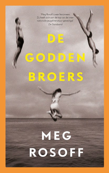 De Godden broers, Meg Rosoff - Ebook - 9789024592364