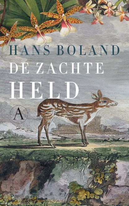 De zachte held, Hans Boland - Paperback - 9789025303624