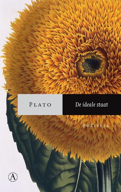 De ideale staat, Plato - Paperback - 9789025369880