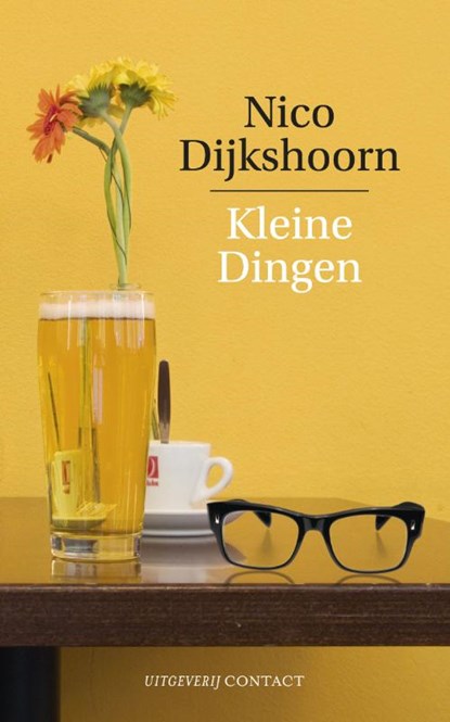 Kleine dingen, Nico Dijkshoorn - Paperback - 9789025423780
